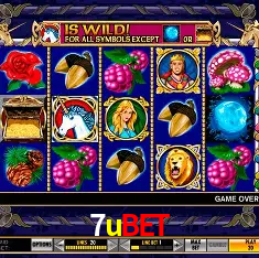 Descubra o Mundo do Cassino Online com 7ubet